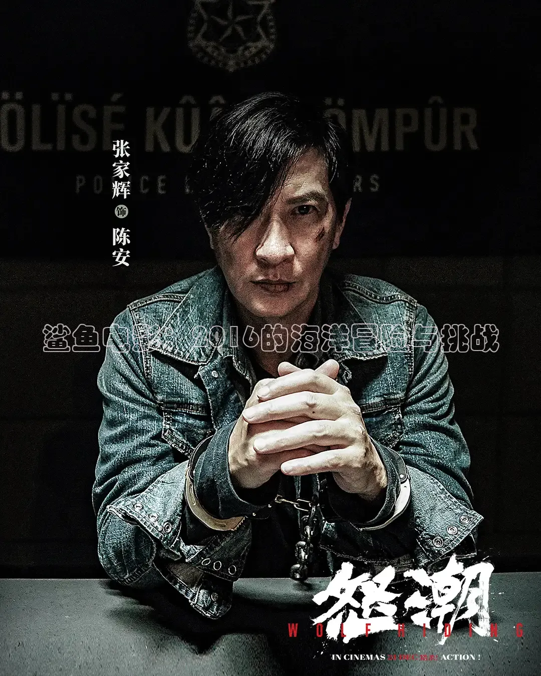 鲨鱼电影：2016的海洋冒险与挑战