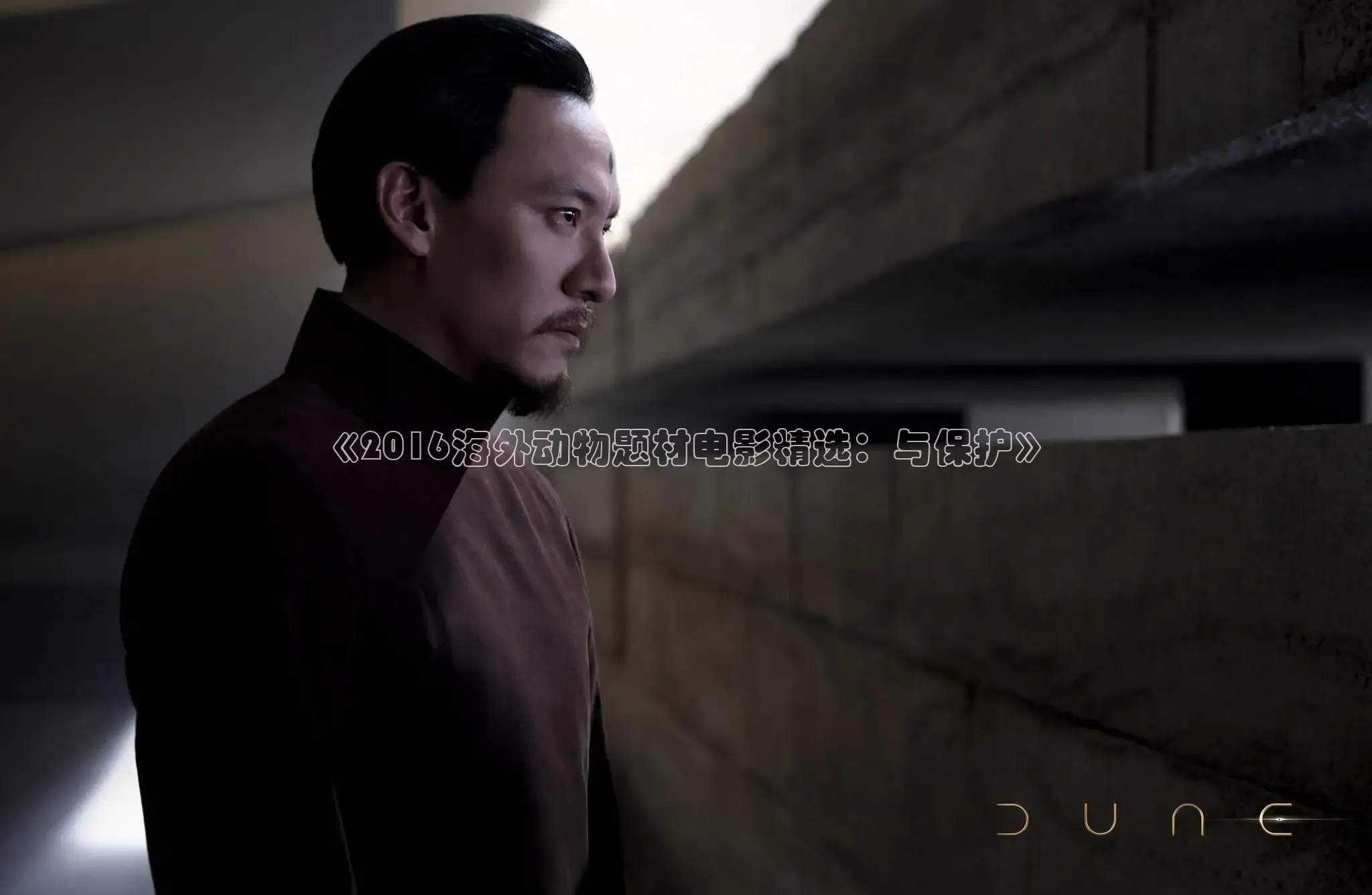 《2016海外动物题材电影精选：与保护》